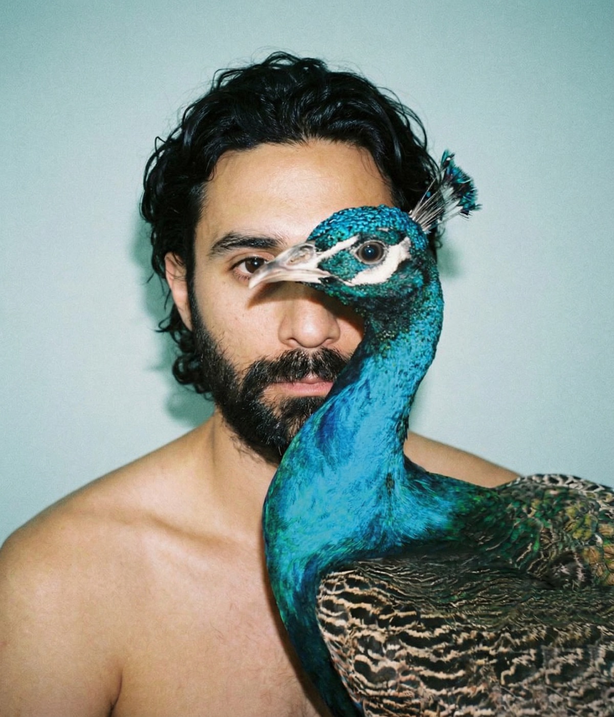 Amos Le Blanc shirtless with a peacock blue neck crossing over his face
